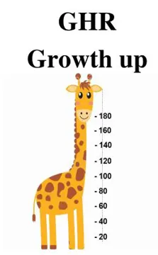 GHR Growth up