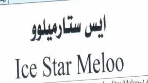 ايس ستارميلووIce Star Meloo