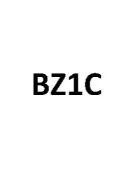 BZIC trademark logo