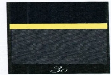 30 trademark logo