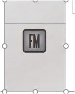 FM trademark logo