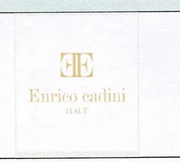 ENRICO EADINI مع شکل trademark logo