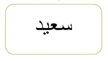 سعيد trademark logo