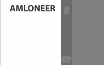 أملونیرAMLONEER trademark logo