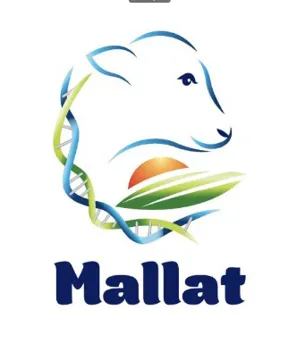 Mallat trademark logo