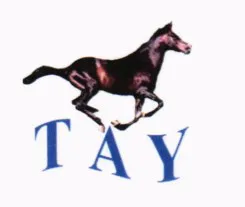 TAY trademark logo