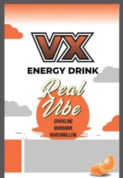 VX REAL VIBE trademark logo
