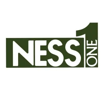 NESS1 ONE trademark logo