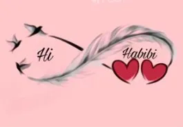 HI HABIBI trademark logo