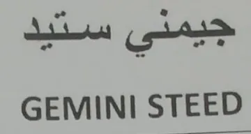 جيمني ستيد STEED GEMINI