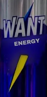 WANT ENERGY
