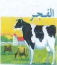 الفجر مع الشكل