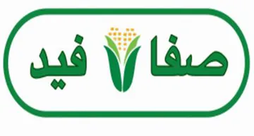 صفا فيد