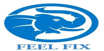 FEEL FIX trademark logo