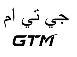 GTM جي تي ام