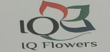 IQ Flowers
