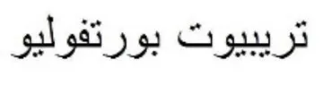 تريبيوت بورتفوليو