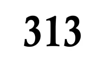 313