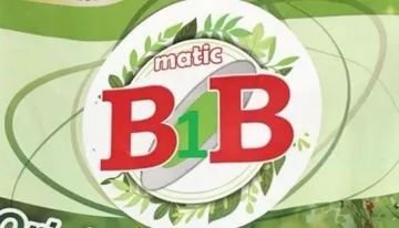 B1B trademark logo
