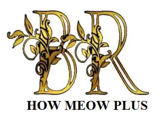 BR HOW MEOW PLUS trademark logo