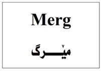 MERGS yx